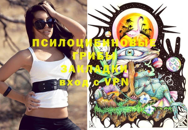 кокс Пестово