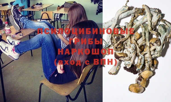 прущая мука Переславль-Залесский